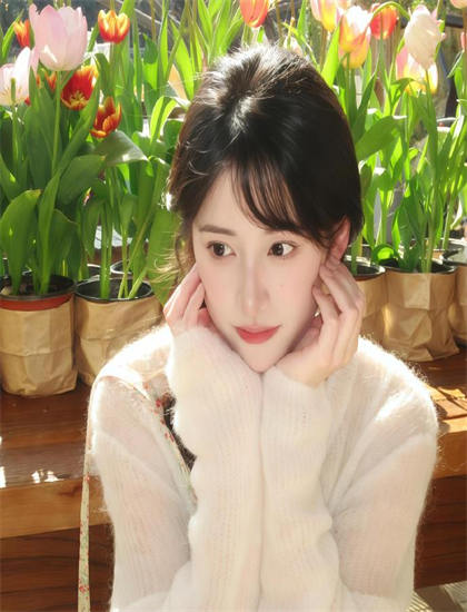 灾难片的文化视角：《性旅行：同情狩猎》中的时代精神与艺术表达的互动 认识文化多样性的价值